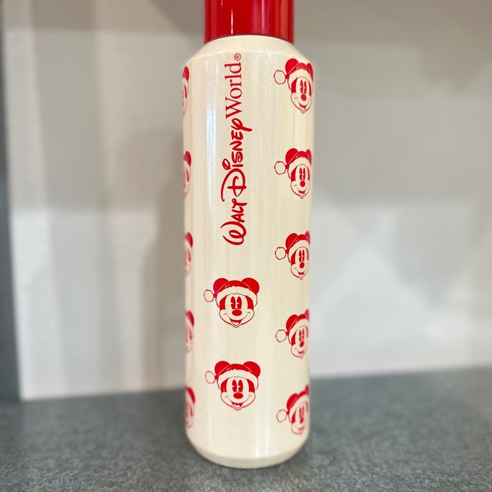Disney World Mickey Mouse Starbucks Water Bottle